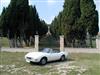 Bianco Duco carrozzeria, Nero interni